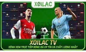 Xoilac-tv.media - XoilacTV: Xem bóng đá trực tuyến ưa thích